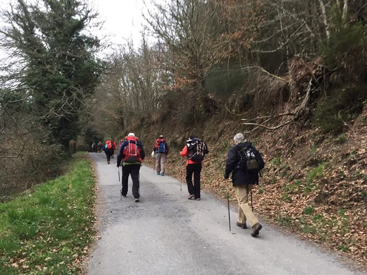 Disfruta del Camino de Santiago