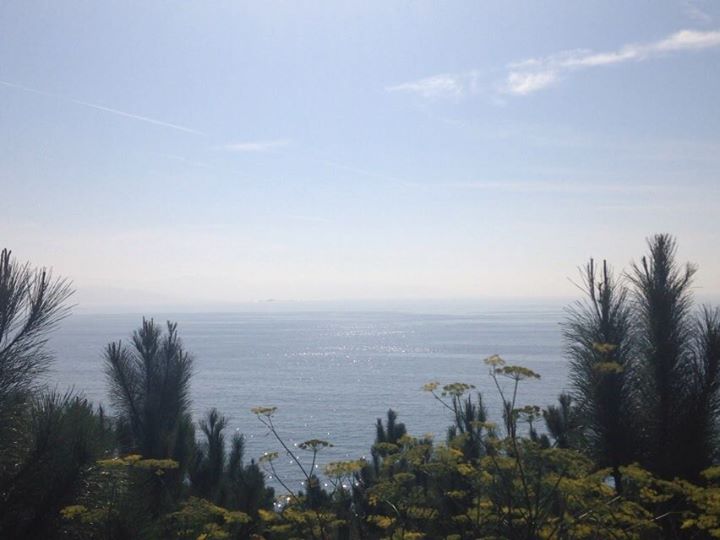 Nos vamos a Costa Rica